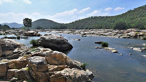 மேகேதாட்டுவில் அணை கட்டுவதை தமிழக அரசு அனுமதிக்க கூடாது - ராமதாஸ், டிடிவி தினகரன், விவசாய சங்கம் வலியுறுத்தல்