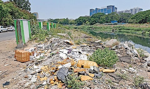 சென்னை புதுப்பேட்டை பகுதியை ஒட்டி செல்லும் கூவம் ஆற்றின் கரையோரத்தில் கொட்டப்படும் குப்பையால் ஆற்றங்கரை குப்பைமேடாக காட்சியளிக்கும் அவலம் ஏற்பட்டுள்ளது.படம்: ம.பிரபு.