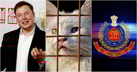 போலீஸ் நாய் இருக்கு, போலீஸ் பூனை இருக்கா? - எலான் மஸ்க் ட்வீட்டுக்கு டெல்லி போலீஸ் ஜாலி பதில்