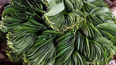 கடத்தூர் வாரச் சந்தையில் ரூ.8 லட்சத்துக்கு வெற்றிலை விற்பனை