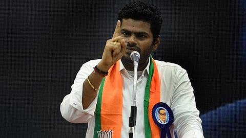 அண்ணாமலை | கோப்புப்படம்