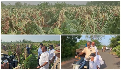 கடலூர் அருகே சூறாவளிக் காற்றால் சேதமடைந்த வாழைத் தோட்டங்களில் அமைச்சர் எம்.ஆர்.கே.பன்னீர்செல்வம் ஆய்வு செய்தார்.