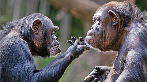 கஷ்டமாகத்தான் இருக்கும். மனசைத் தேத்திக்கணும்...