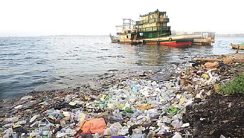 படங்கள்: எம்.எஸ்.எஸ்.ஆர்.எஃப்