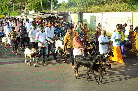 சிவகங்கையில் நரியனேந்தல் முத்தையா கோயிலில் குலத்தெய்வ வழிபாட்டுக்காக சென்ற கிராம மக்கள்.