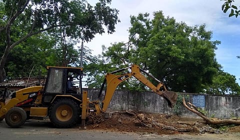 நெல்லையில் வரைமுறையின்றி வெட்டப்படும் மரங்கள்: பொதுமக்கள் கவலை