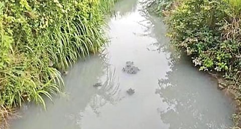 மொடக்குறிச்சி வட்டம், ராசாம்பாளையம் கிராமத்தில் கழிவுநீர் கலப்பால் மாசடைந்து வெள்ளை நிறத்தில் ஓடும் அனுமன் நதி.