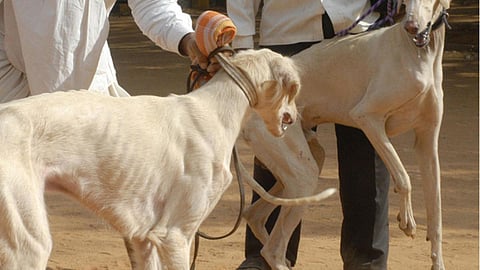 கோப்புப்படம்