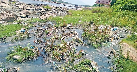 குமாரபாளையம் பகுதியில் ஓடும் காவிரி ஆற்றில் சாயக்கழிவு நீர் நேரடியாக கலக்கிறது.