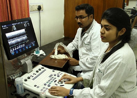 ஆஞ்சியோகிராம் சோதனை