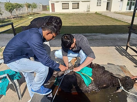 ஹரியாணா மாநிலம் ஹாசன்பூரில் உள்ள எம்.ஆர்.கால்நடை மருத்துவக் கல்லூரியில் நீட் தேர்ச்சி இல்லாமலேயே படிக்க முடியும்