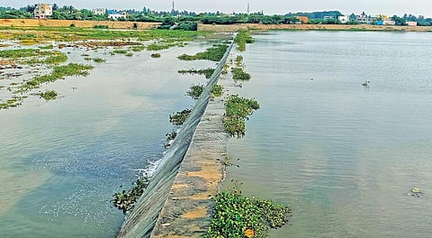 கடலூர் கம்மியம்பேட்டையில் கெடிலம் ஆற்றில் உள்ள தடுப்பணை.