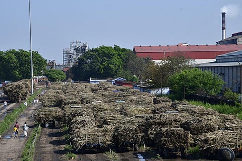 கருப்பு | கோப்புப் படம்