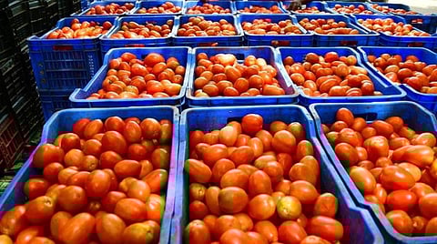 கட்டுக்குள் இருக்கட்டும் உணவுப் பொருள் பணவீக்கம்