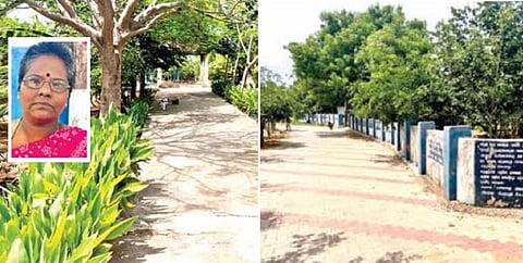 சந்தனம், அத்தி மரங்கள் வளர்த்து மயானத்தை பசுமையாக மாற்றிய ஊராட்சித் தலைவர் அரசி!