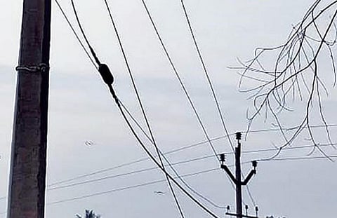 விழுப்புரம் அருகே சிறுவாலை கிராமத்தில் தாழ்ந்து அறுந்து விழும் நிலையில் உள்ள மின் கம்பி இது. ‘ஸ்டே ஒயர்’ ஏற்கெனவே அறுந்து விழுந்து விட்டது.