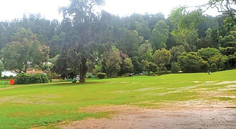 நீலகிரியில் தொடரும் மழையால் உதகையில் வெறிச்சோடிய சுற்றுலா தலங்கள்