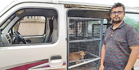 மதுரையில் தெரு நாய்களுக்காக காப்பகம் நடத்தும் ‘விலங்குகளின் காவலன்’