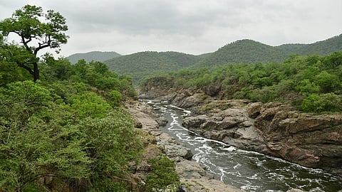 நதிக்கரை ஓரத்து நியாயங்கள்: மேகேதாட்டுவை முன்வைத்து…