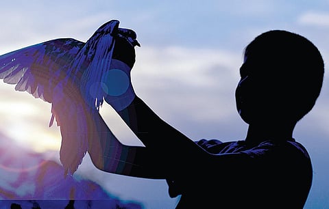 கதைக் குறள் 34: நம்முடன் வாழும் உயிர்களை நேசிப்போம்