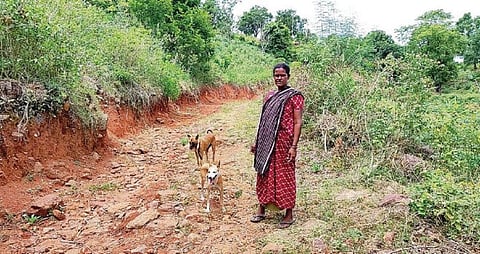 கல்வராயன்மலை... மக்களுக்கு எதிராக செயல்படுகிறதா வனத்துறை?