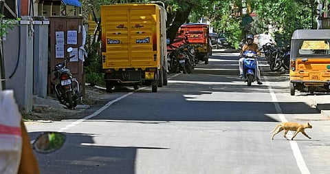 சென்னை மாநகராட்சியில் ரூ.120 கோடியில் 185 கி.மீ. சாலை பணிகள் நிறைவு