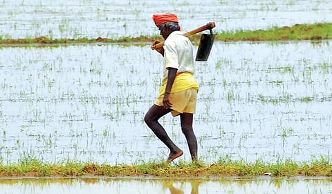 கிராமத்து அத்தியாயம் - 25: பெருத்த சம்சாரி பேரு வாங்கின யாவாரி