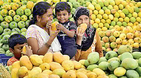 ஜூலை 22: சர்வதேச மாம்பழ தினம் - நினைத்தாலே இனிக்கும் கனி
