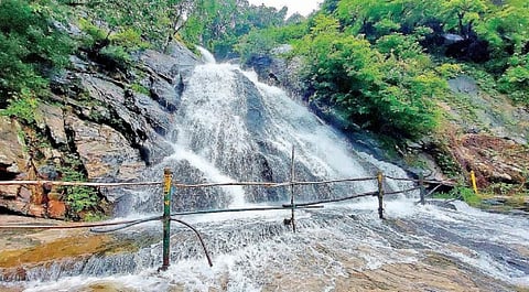 பாதுகாப்பில்லாத கவியருவி @ கோவை - ஆனைமலை புலிகள் காப்பகம்