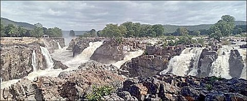 ஒகேனக்கல் ஐந்தருவி பகுதியில் ஆர்ப்பரித்துக் கொட்டும் வெள்ளம்.