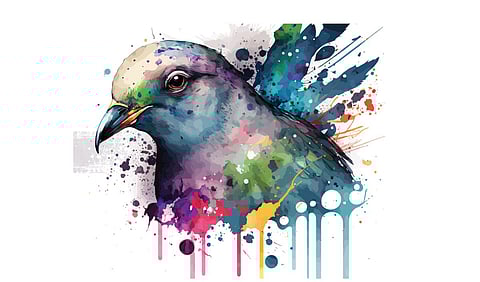 புறாக்கள் செய்தி தருவதற்கா, நோய் தருவதற்கா?