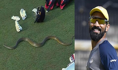 LPL | ஆட்டத்தை இடைமறித்த பாம்பு: வங்கதேசத்தை மேற்கோள் காட்டி தினேஷ் கார்த்திக் ட்வீட்