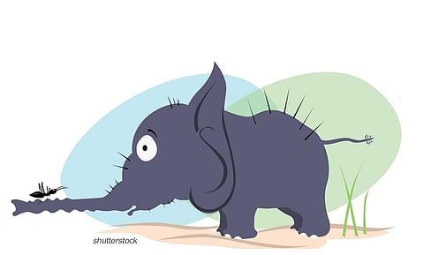 கதை: எறும்புகளிடம் மன்னிப்பு கேட்ட யானை