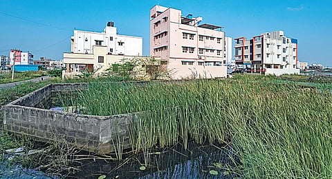 நீர்நிலைகளில் ஆக்கிரமிப்பு: தமிழ்நாடு உணர வேண்டிய உண்மைகள்