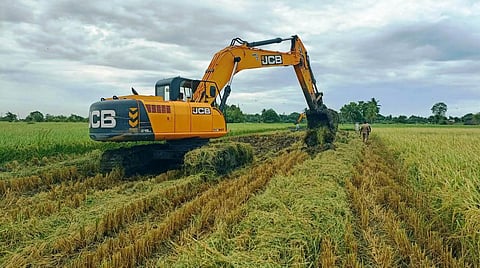 என்.எல்.சி நிர்வாகத்தால் சேதப்படுத்தப்பட்ட நெற்பயிர்கள்.