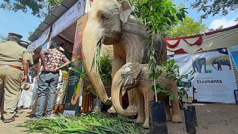 ஒகேனக்கல் ஆடிப்பெருக்கு விழாவில் கவனம் ஈர்த்த உண்ணிக் குச்சி யானைகள்