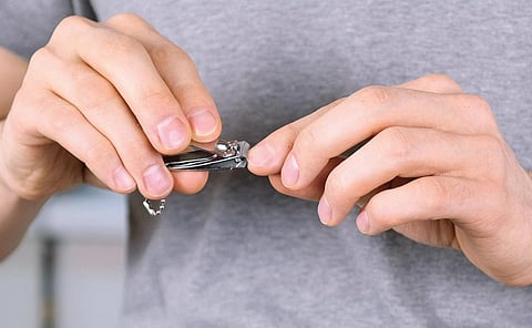 தயங்காமல் கேளுங்கள் - 36: நகம் வெட்டினால் வலிப்பதில்லையே ஏன்?