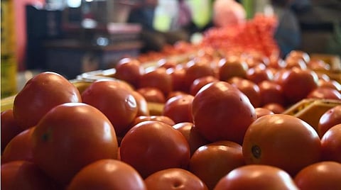 அஞ்செட்டியில் ஒரு கிலோ தக்காளி ரூ.250 - மலைக்கிராம மக்கள் வேதனை