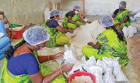 உயிர் உரங்களை தயாரிக்கும் பணியில் ஈடுபட்ட மேலவளவு கிராம மகளிர் குழுவினர்.