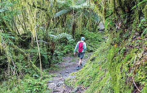 உலகம் - நாளை - நாம் - 23: ஆஸ்திரேலியாவும் ஆயிரம் தீவுகளும்!