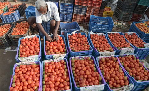 வரத்து அதிகரிப்பால் தக்காளி கிலோ ரூ.80 ஆக சரிவு @ சேலம்