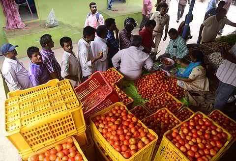 ஆந்திராவில் தக்காளி கிலோ ரூ.44 க்கு விற்பனை