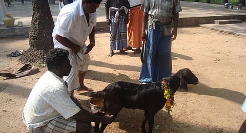 ஒட்டன்சத்திரம் அருகே சிப்காட் திட்டம் ரத்தால் கிராம மக்கள் கிடாவெட்டி நேர்ச்சை