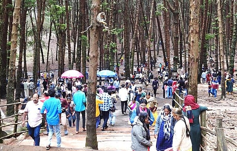 கொடைக்கானலில் சுற்றுலா இடங்களுக்கு செல்லும் வாகனங்களுக்கு வனத்துறை புதிய கட்டுப்பாடு 