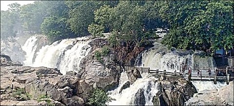 தருமபுரி மாவட்டம் ஒகேனக்கல் காவிரியாற்றில் நேற்று நீர்வரத்து விநாடிக்கு 12 ஆயிரத்து 500 கன அடியாக உயர்ந்திருந்தபோது பிரதான அருவி பகுதியில் சீறிப்பாய்ந்த தண்ணீர்.