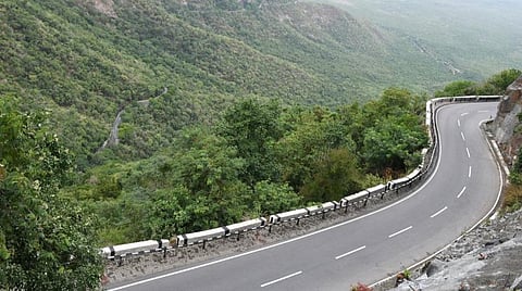 திருமலையில் மீண்டும் சிறுத்தை, கரடி நடமாட்டம் - 6 இடங்களில் கூண்டுகள் வைத்த வனத்துறையினர்