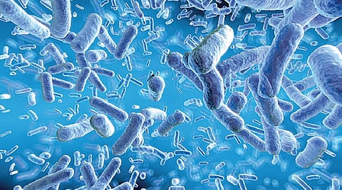 நுண்ணுயிர் எனும் பேராற்றல்