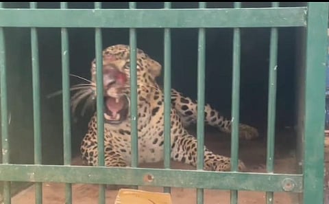 கோப்புப்படம்