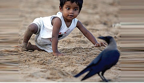 மாறட்டும் கல்விமுறை - 11: காகம் கரைந்த போது...