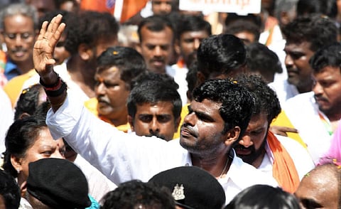 அண்ணாமலை | கோப்புப் படம்